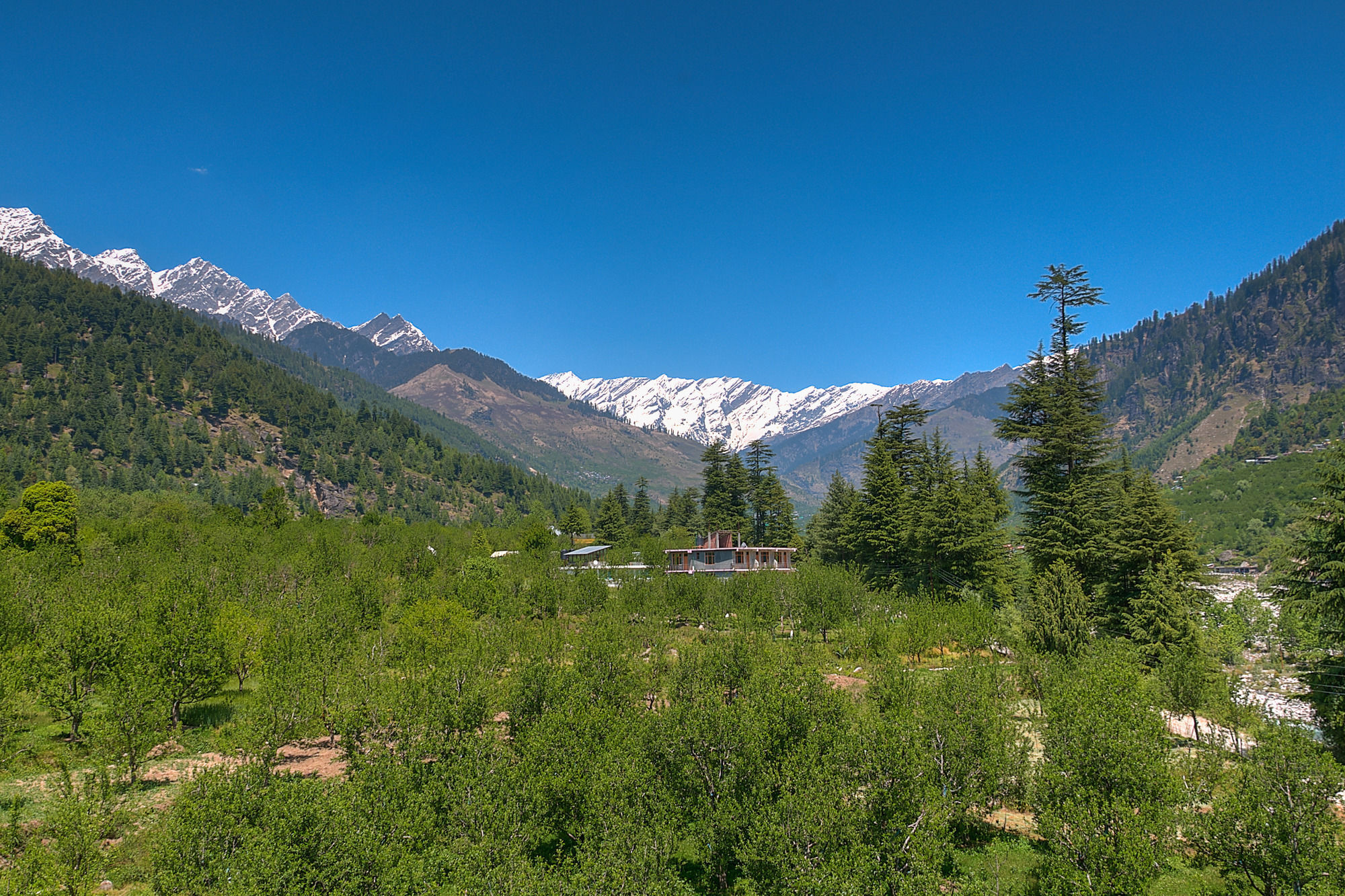Treebo Trend Celebriti Manali Hotel Vashist Exterior photo
